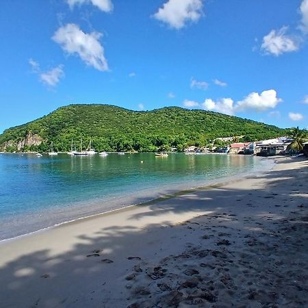 Ecolodges Karet Deshaies Exteriér fotografie
